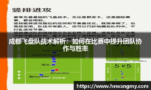 完美体育·(中国)官方网站-WM SPORTS